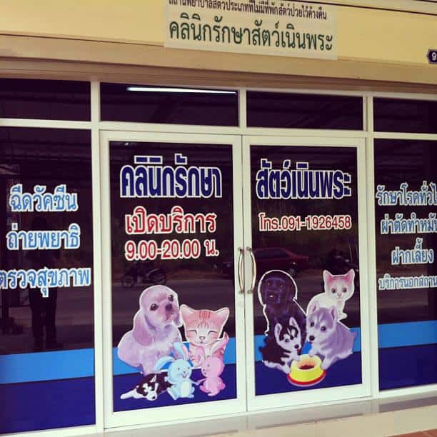 คลินิกรักษาสัตว์เนินพระ ระยอง (หมออ๊อฟ) 2