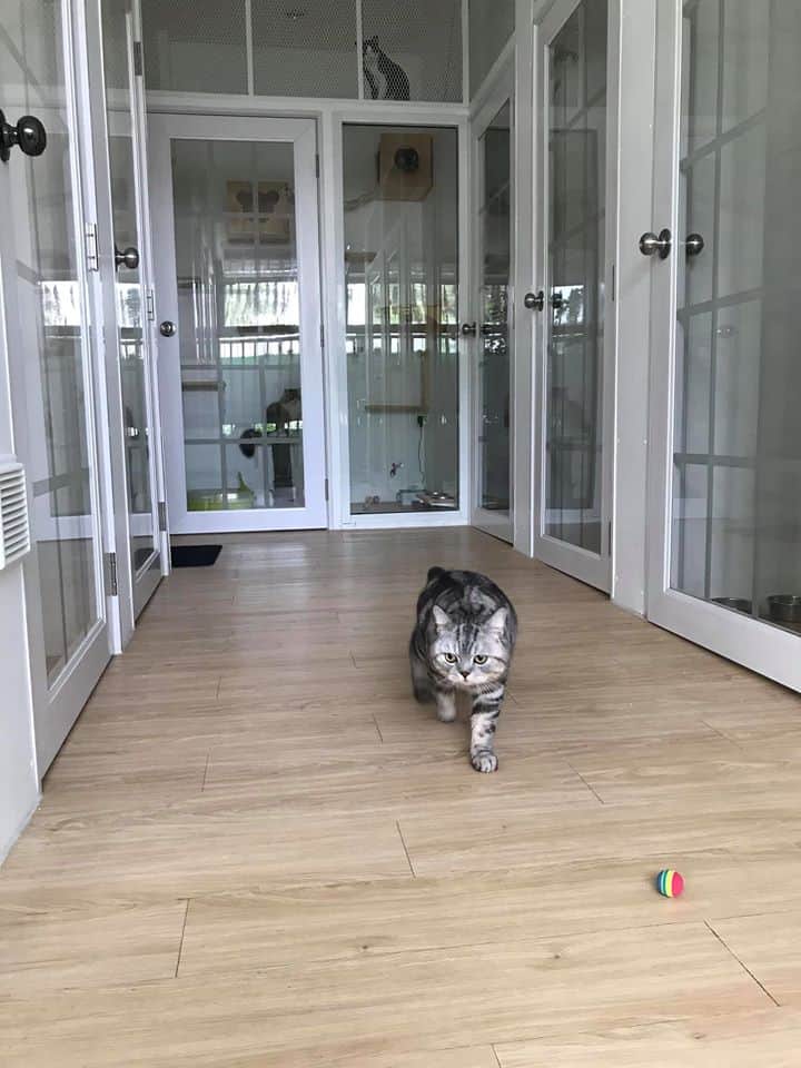 Comin Cat Hotel & Cafe 6