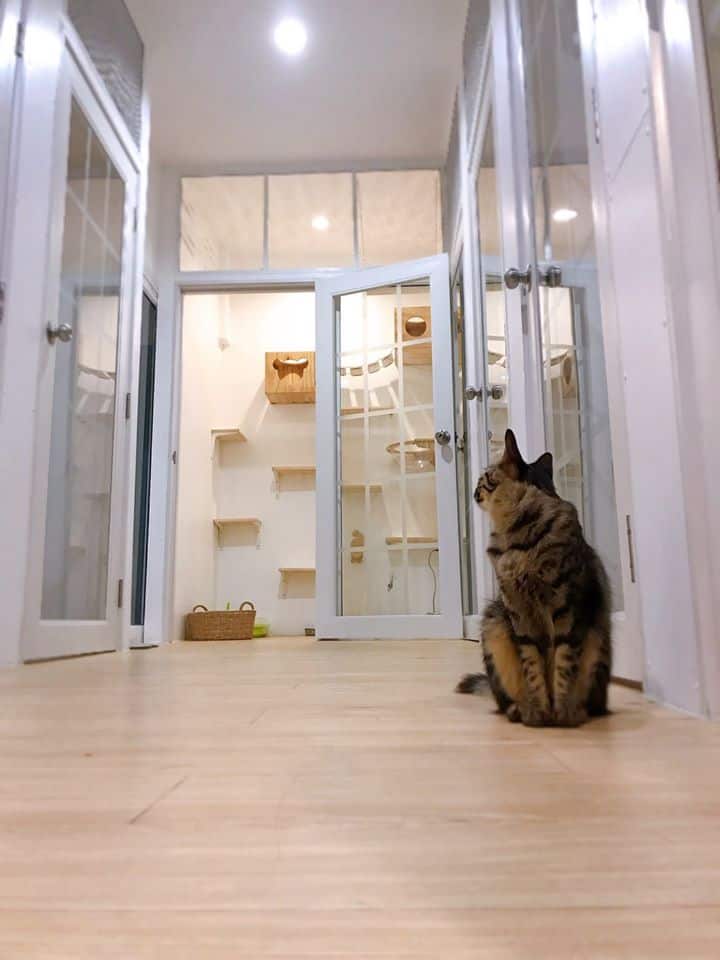 Comin Cat Hotel & Cafe 7