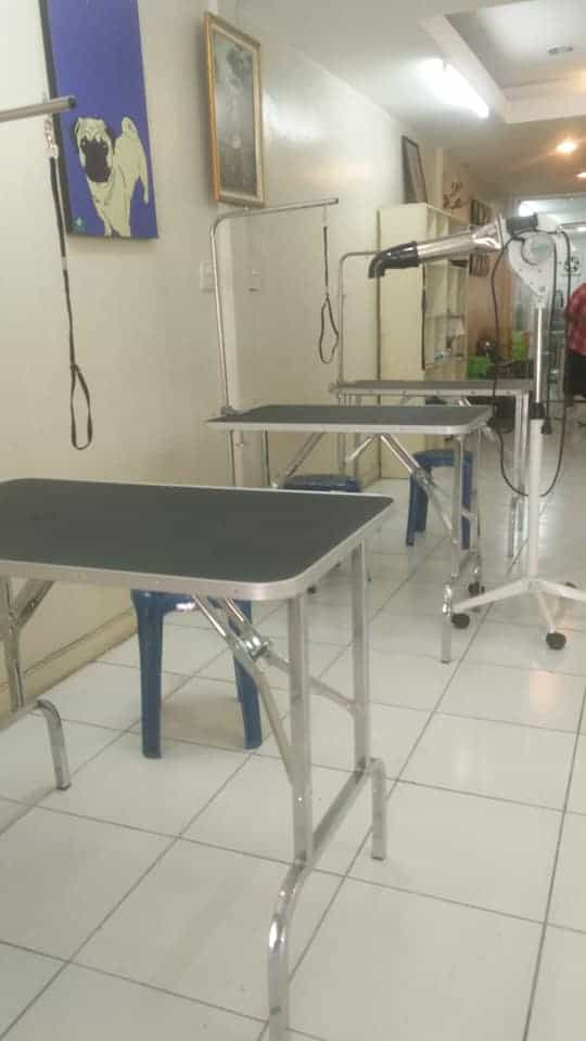 Graphic Grooming (โรงเรียนสอนอาชีพตัดขนสุนัข) 4