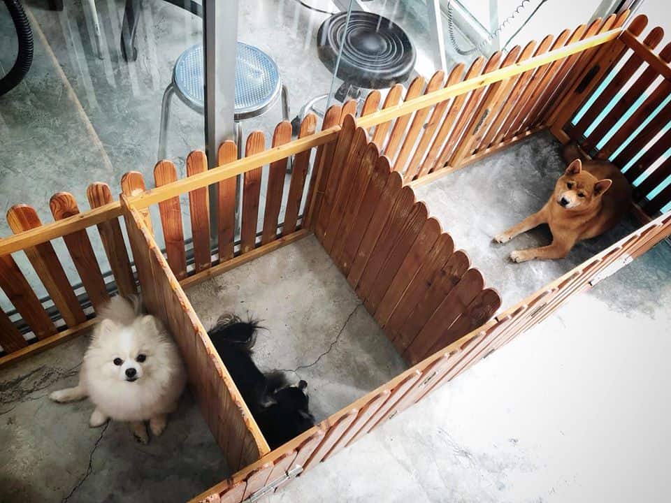 Bannmha Bath & Groom (นวลจันทร์) 4