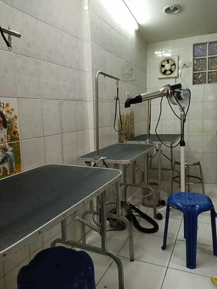 Graphic Grooming (โรงเรียนสอนอาชีพตัดขนสุนัข) 6