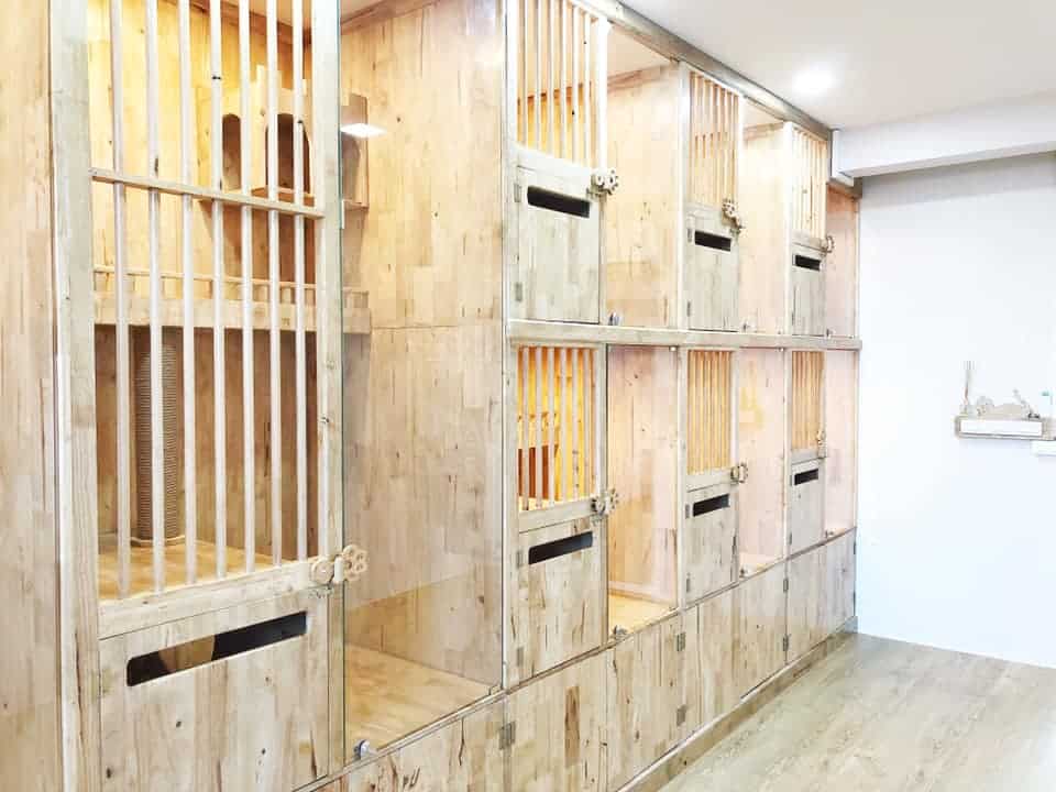 Atrium Ladkrabang Vet Care (คลินิก เอเทรียม ลาดกระบัง-อ่อนนุช รักษาสัตว์) 5