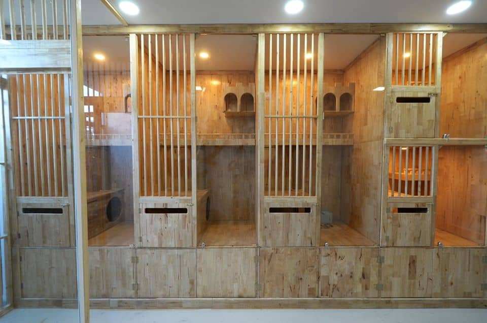 Caterium Cat Hotel (โรงแรมแมว แคทเทอเรียม) 1
