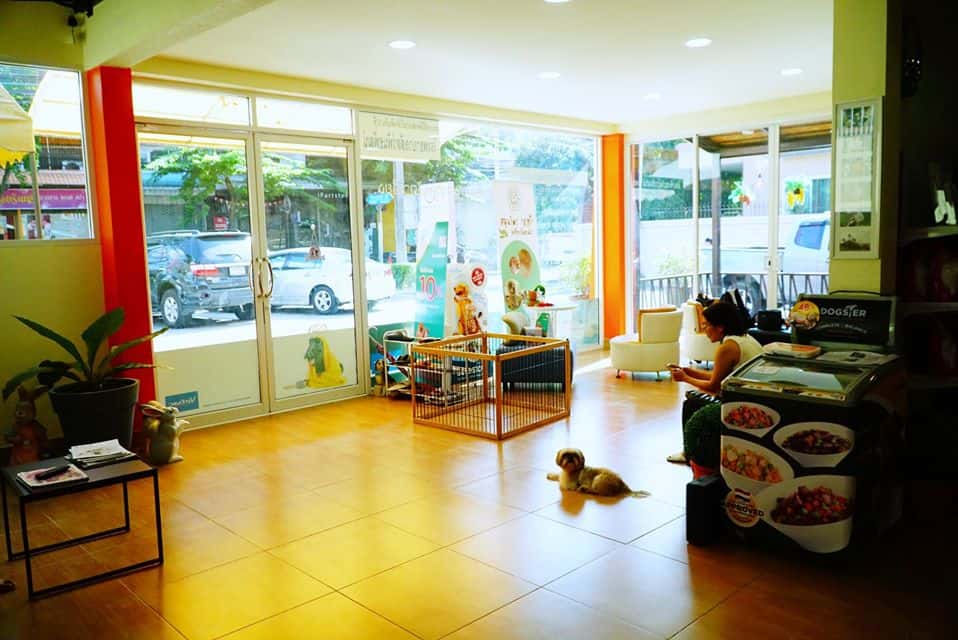 Phundhaphat Pet Hospital (โรงพยาบาลสัตว์พันธพัฒน์) 7