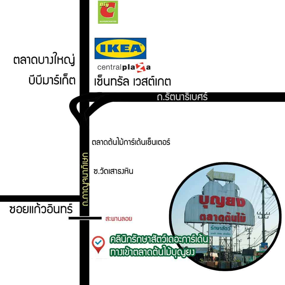 Thegarden Pet Clinic (คลินิกรักษาสัตว์ เดอะการ์เด้น) 4