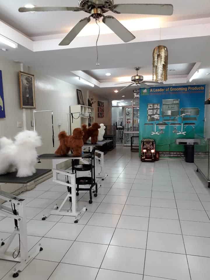 Graphic Grooming (โรงเรียนสอนอาชีพตัดขนสุนัข) 8
