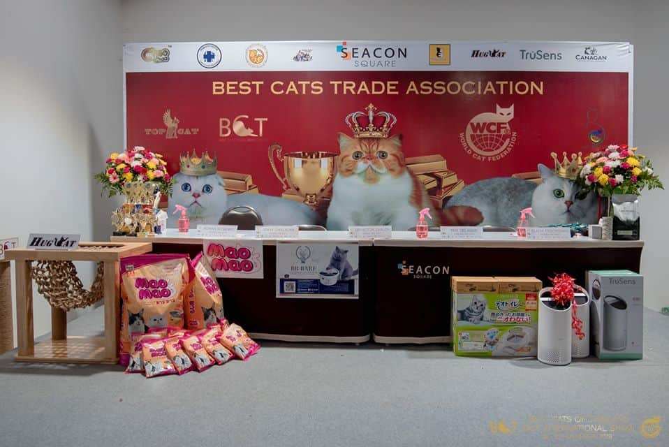 WCF Thailand by BCT-Best Cats Trade Association (สมาคมการค้าแมว) 2