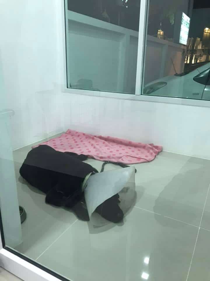 Muanjai Vet Clinic (โรงพยาบาลสัตว์ม่วนอกม่วนใจ๋) 3