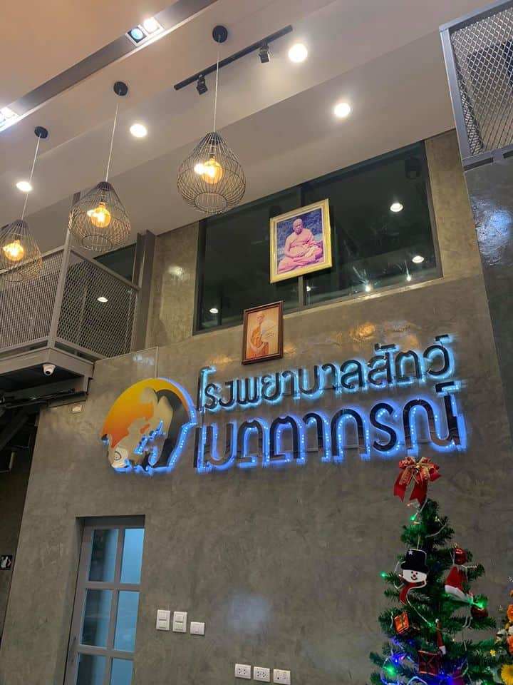 Mettakorn Animal Hospital (โรงพยาบาลสัตว์เมตตากรณ์) 7