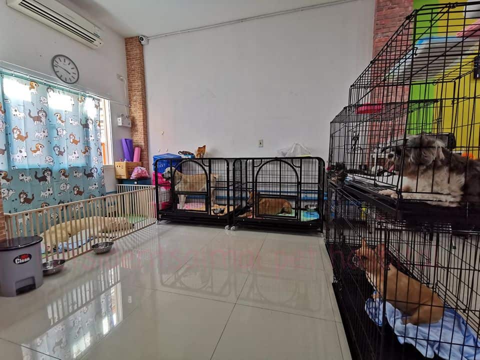 Petsident Saimai (โรงพยาบาลสัตว์เพ็ทซิเดนท์สายไหม) 9