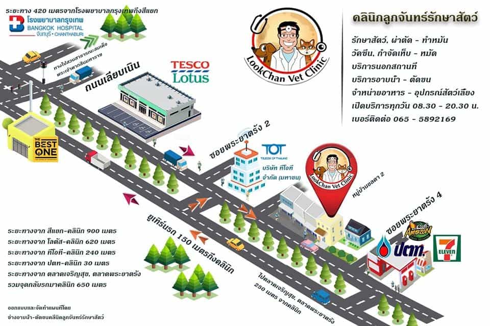 Lookchan Vetclinic (คลินิกลูกจันทร์รักษาสัตว์) 2