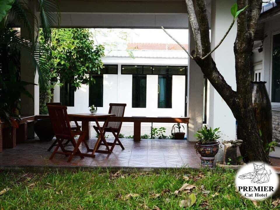Premier Cat Hotel (โรงแรมแมว พรีเมียร์) 4