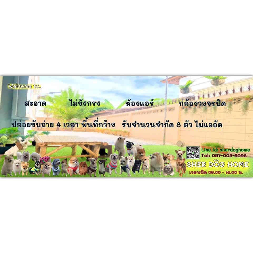 Listing cover image