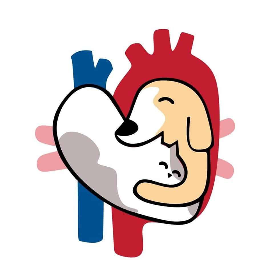 Atrium Ladkrabang Vet Care (คลินิก เอเทรียม ลาดกระบัง-อ่อนนุช รักษาสัตว์) 6