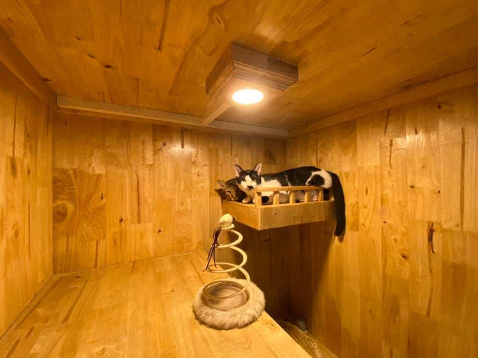 Caterium Cat Hotel (โรงแรมแมว แคทเทอเรียม) 3