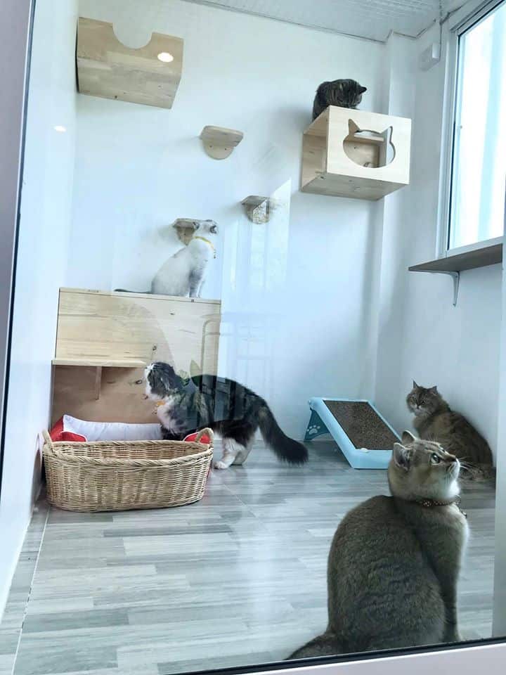 Cat Keeper Hotel (บางแค) 2
