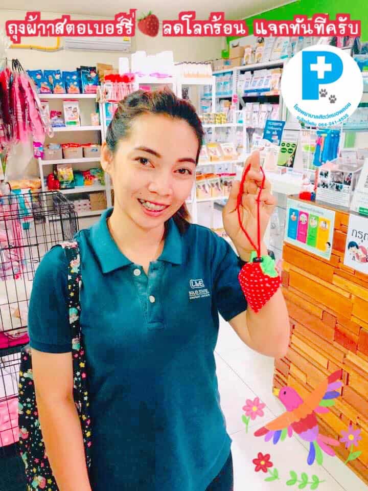 Ploy Vet (โรงพยาบาลสัตว์หมอพลอย ม.ฉัตรไพลิน) 2