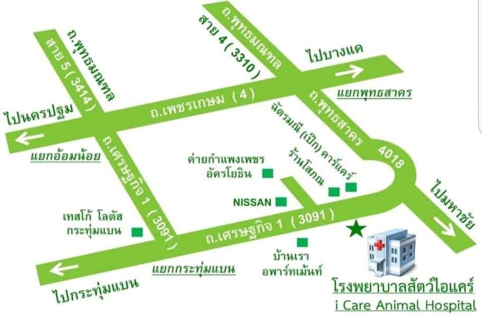 โรงพยาบาลสัตว์ไอแคร์ i Care Animal Hospital 6