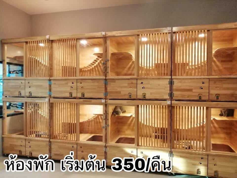 Cat O Holic Thailand (สุขาภิบาล2) 4