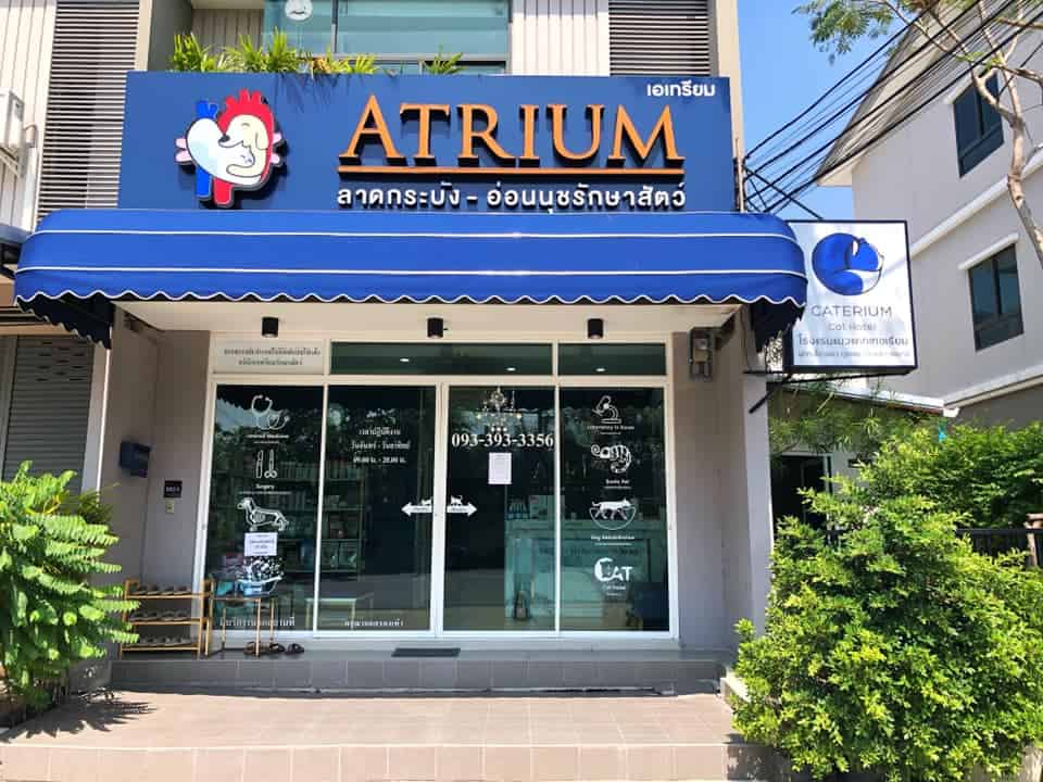 Atrium Ladkrabang Vet Care (คลินิก เอเทรียม ลาดกระบัง-อ่อนนุช รักษาสัตว์) 7