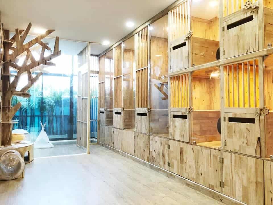 Atrium Ladkrabang Vet Care (คลินิก เอเทรียม ลาดกระบัง-อ่อนนุช รักษาสัตว์) 8