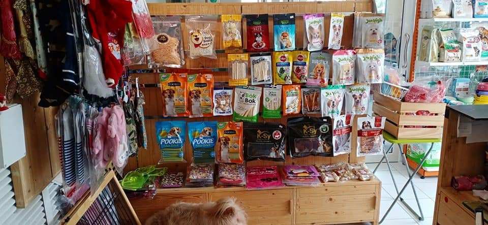 DOGAZY Grooming & Petshop (พระราม2) 6