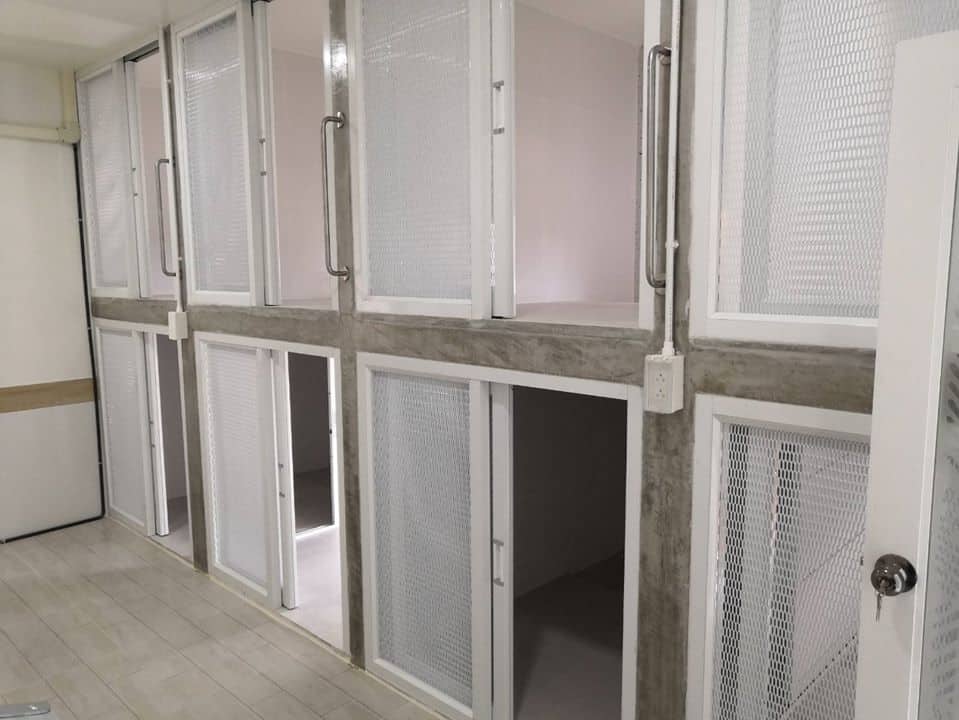 D-Dog Pet Hospital (โรงพยาบาลสัตว์ดีด็อก) 2