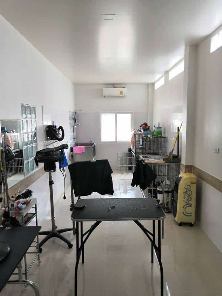 D-Dog Pet Hospital (โรงพยาบาลสัตว์ดีด็อก) 5