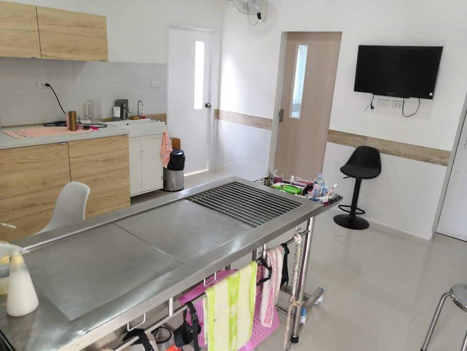D-Dog Pet Hospital (โรงพยาบาลสัตว์ดีด็อก) 6