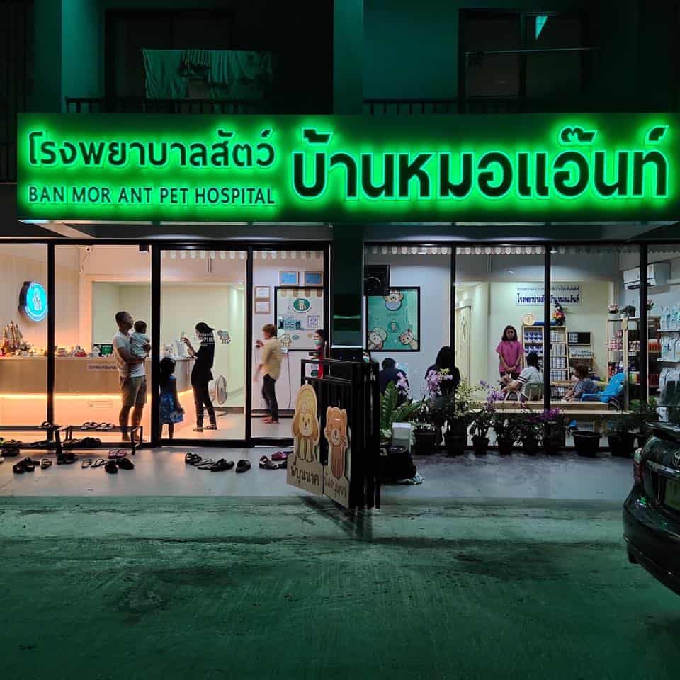 Ban Mor Ant Pet Hospital (โรงพยาบาลสัตว์บ้านหมอแอ๊นท์) 9