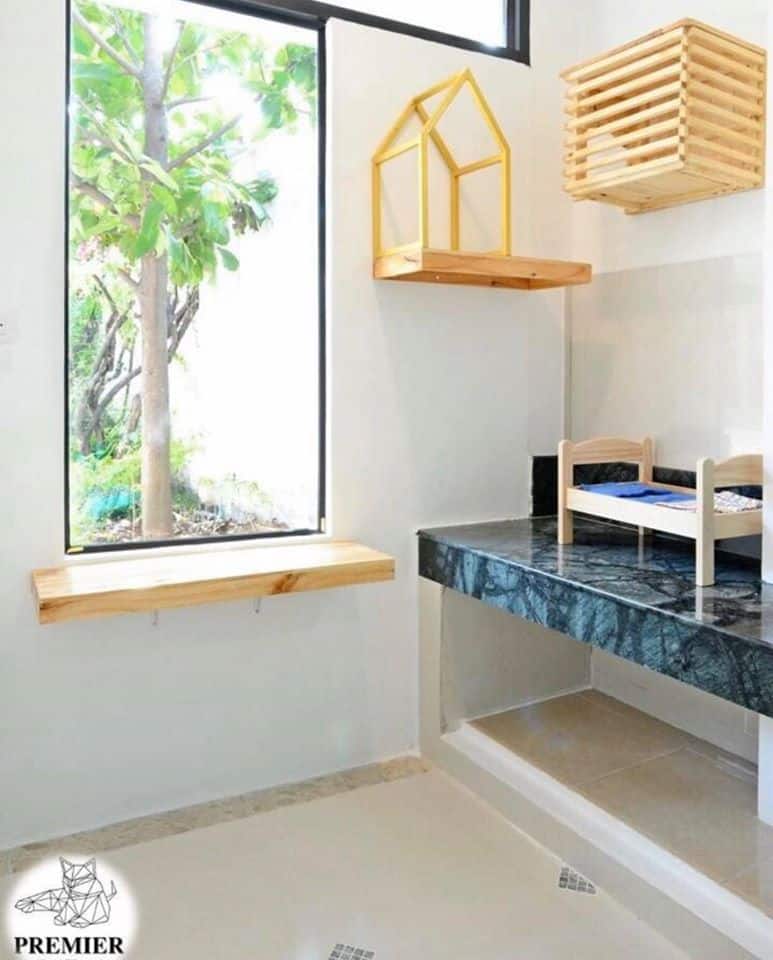 Premier Cat Hotel (โรงแรมแมว พรีเมียร์) 5