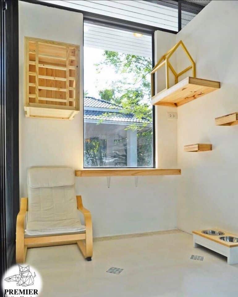 Premier Cat Hotel (โรงแรมแมว พรีเมียร์) 6