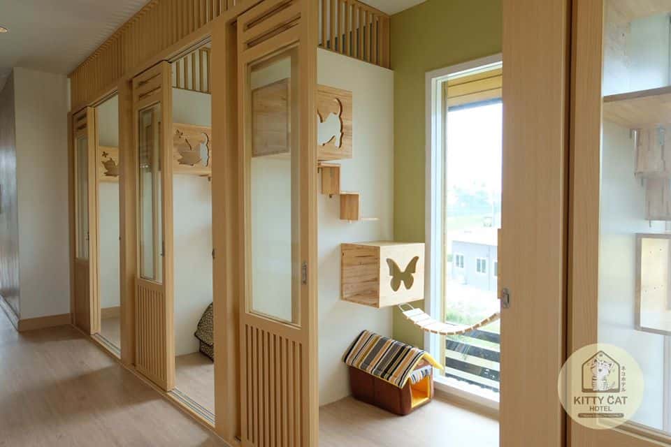Kitty Cat Hotel (โรงแรมแมว คิตตี้แคท) 1