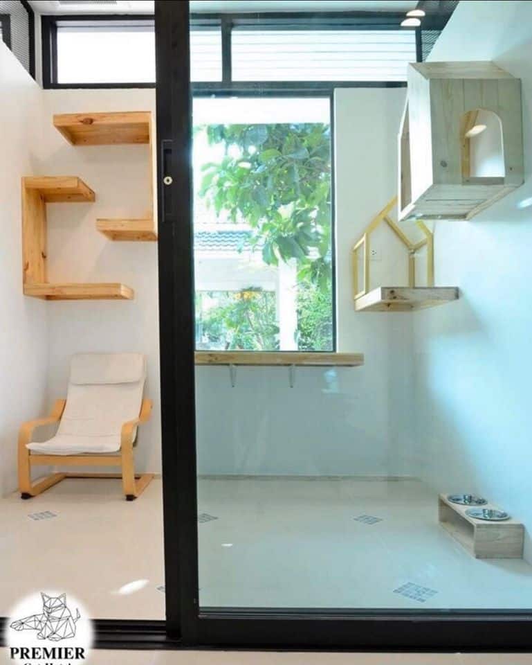 Premier Cat Hotel (โรงแรมแมว พรีเมียร์) 7