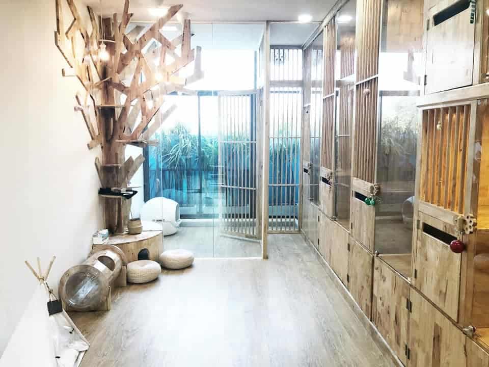 Caterium Cat Hotel (โรงแรมแมว แคทเทอเรียม) 5