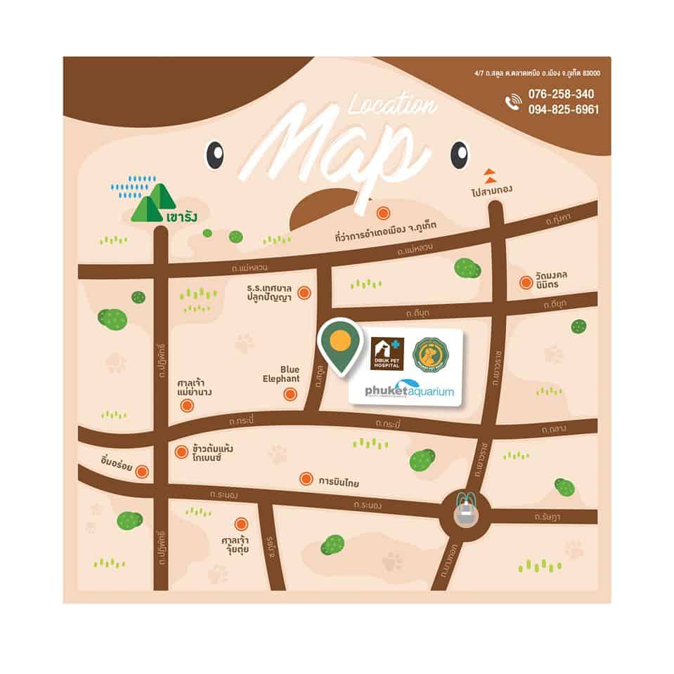 Dibuk Pet Hospital (โรงพยาบาลสัตว์ดีบุก) 2