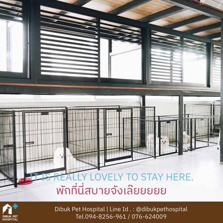 Dibuk Pet Hospital (โรงพยาบาลสัตว์ดีบุก) 5