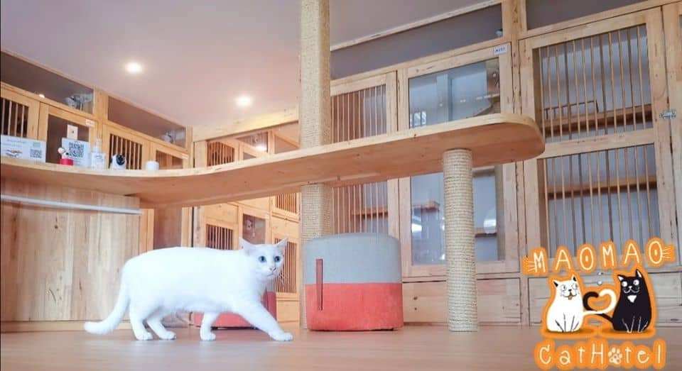 Mao Mao Cat Hotel (พัทยา) 2