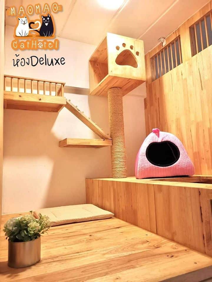 Mao Mao Cat Hotel (พัทยา) 3