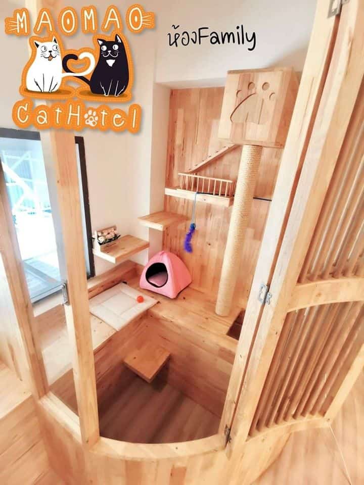 Mao Mao Cat Hotel (พัทยา) 4