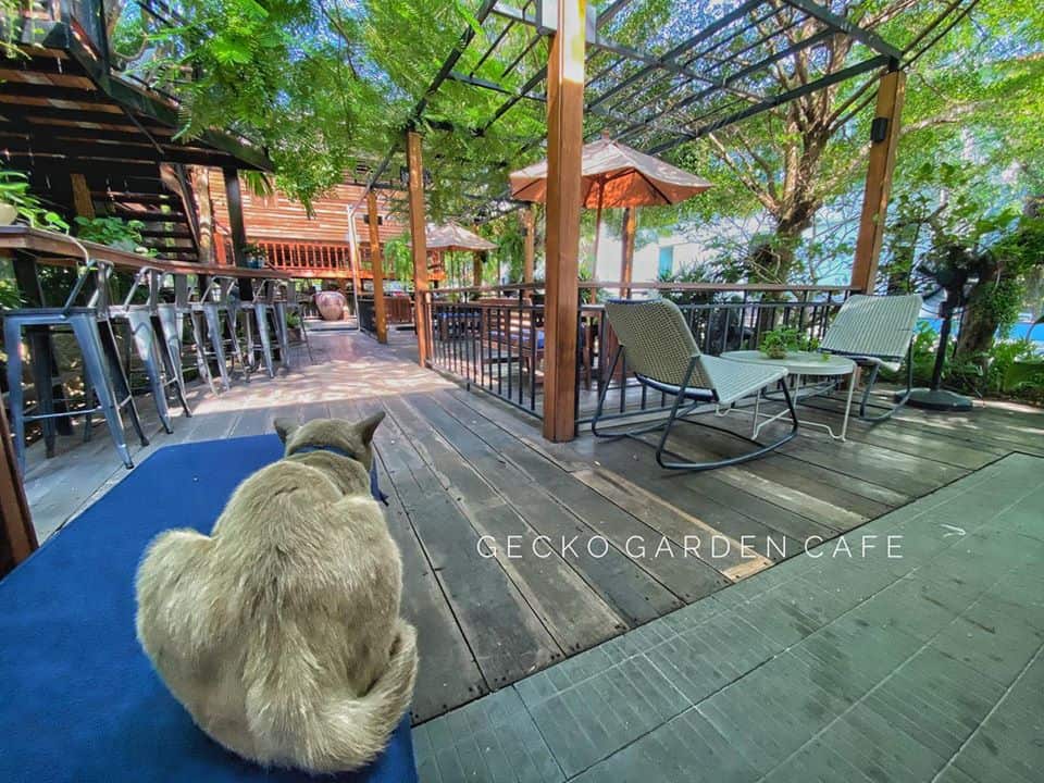 Gecko Garden Cafe (พัทยา) 4