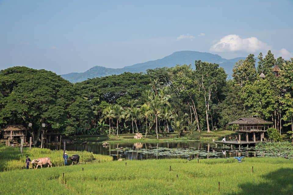 Four Seasons Resort Chiang Mai 8