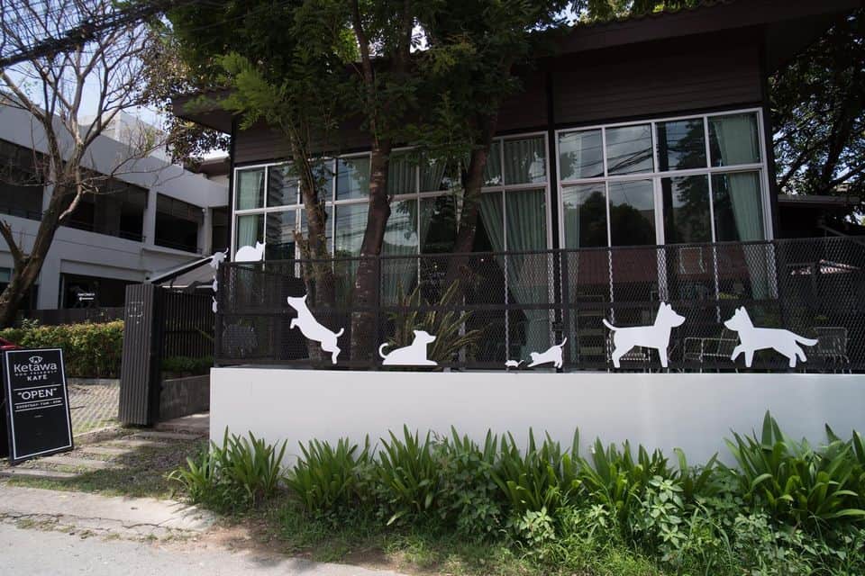 KETAWA Pet Friendly Hotel and Cafe 2
