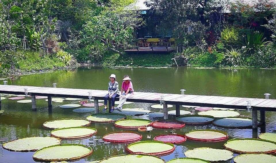Thammachadocha ธรรมชาติโอชา 3