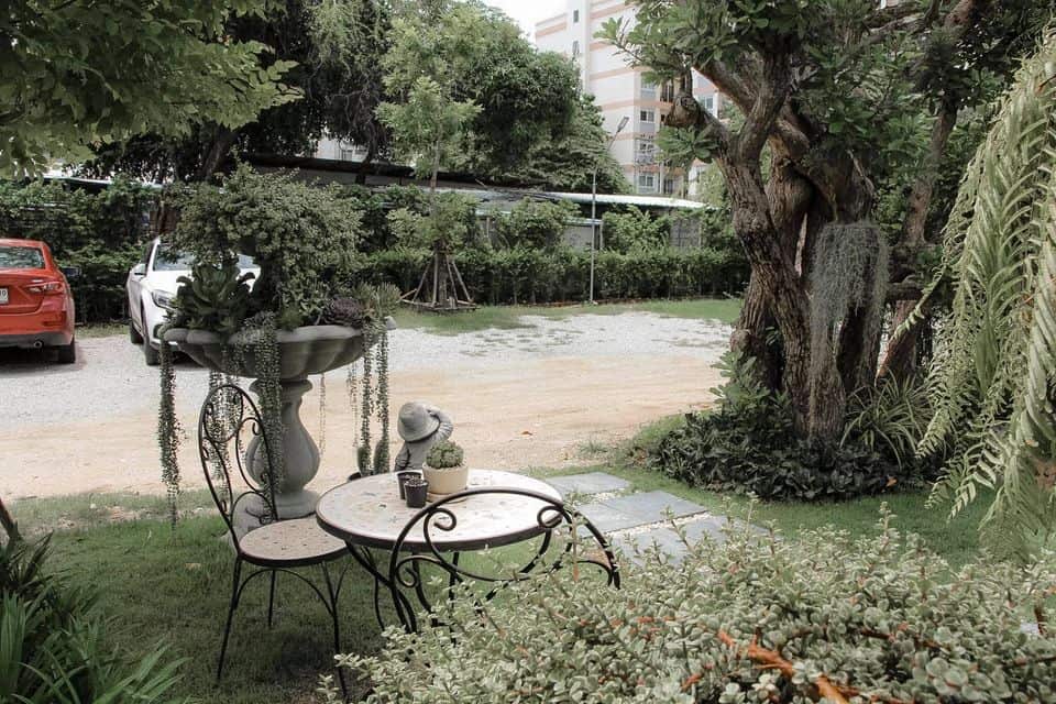 Breeze Box Cafe & Cactus บรีซ บ็อกซ์ คาเฟ่ 2