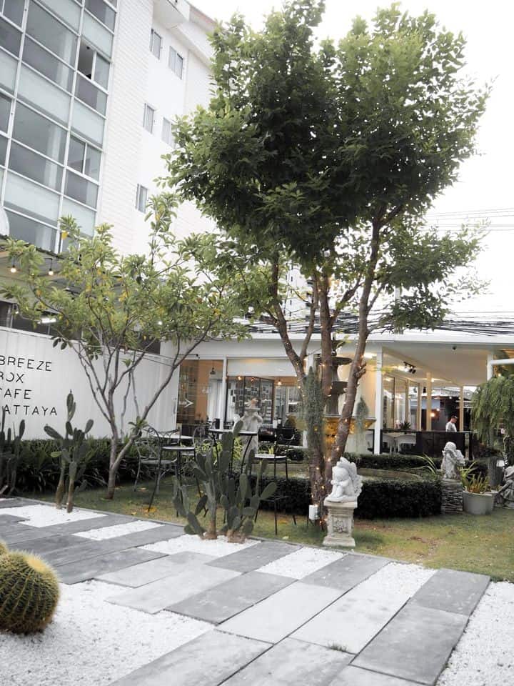 Breeze Box Cafe & Cactus บรีซ บ็อกซ์ คาเฟ่ 7