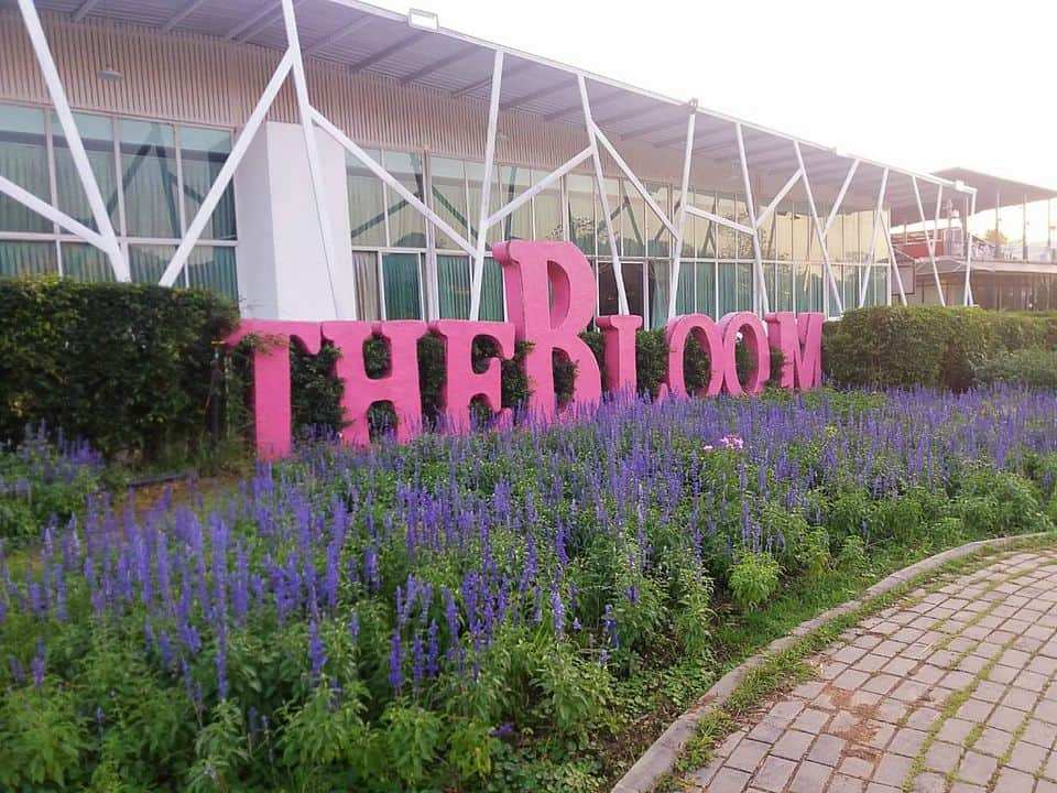 The Bloom By Tvpool Khao Yai 3