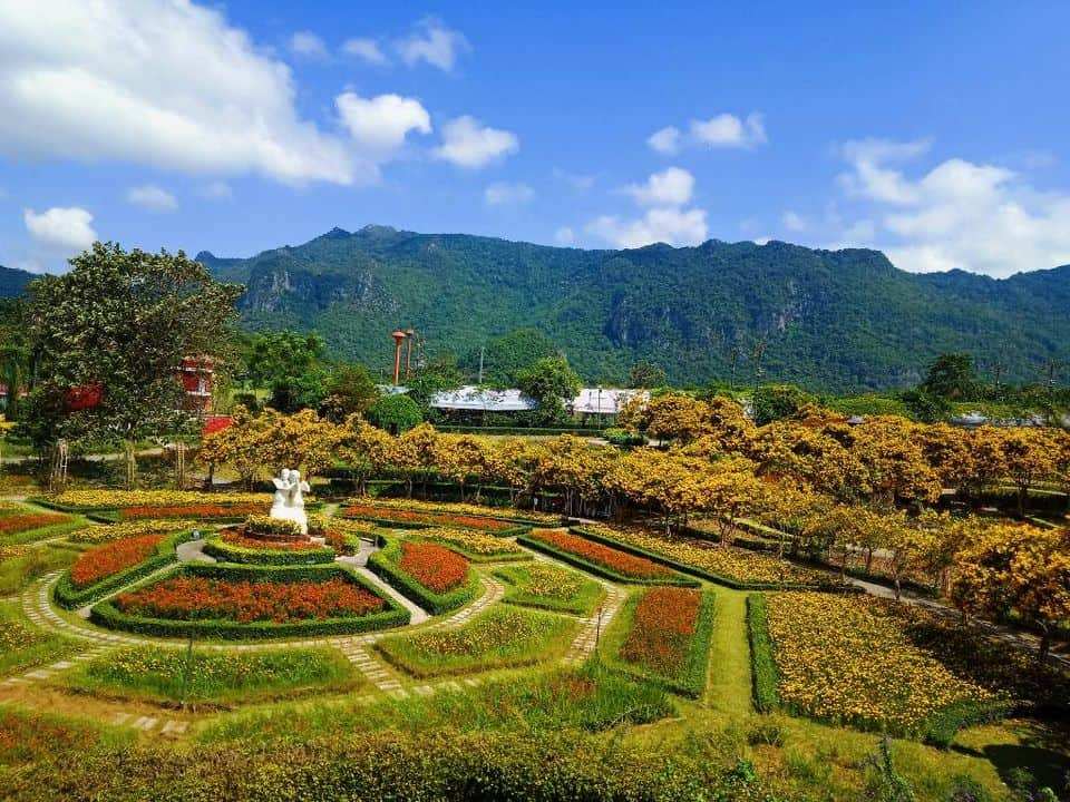 The Bloom By Tvpool Khao Yai 4