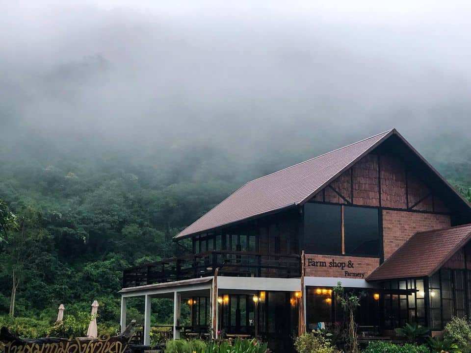 KhaoYai The Mango House Farm บ้านหมากม่วง 6